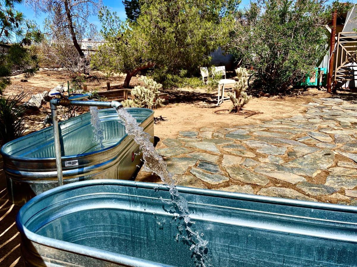 Popular Homestead! Location, Stargaze, Views! Joshua Tree Exterior foto