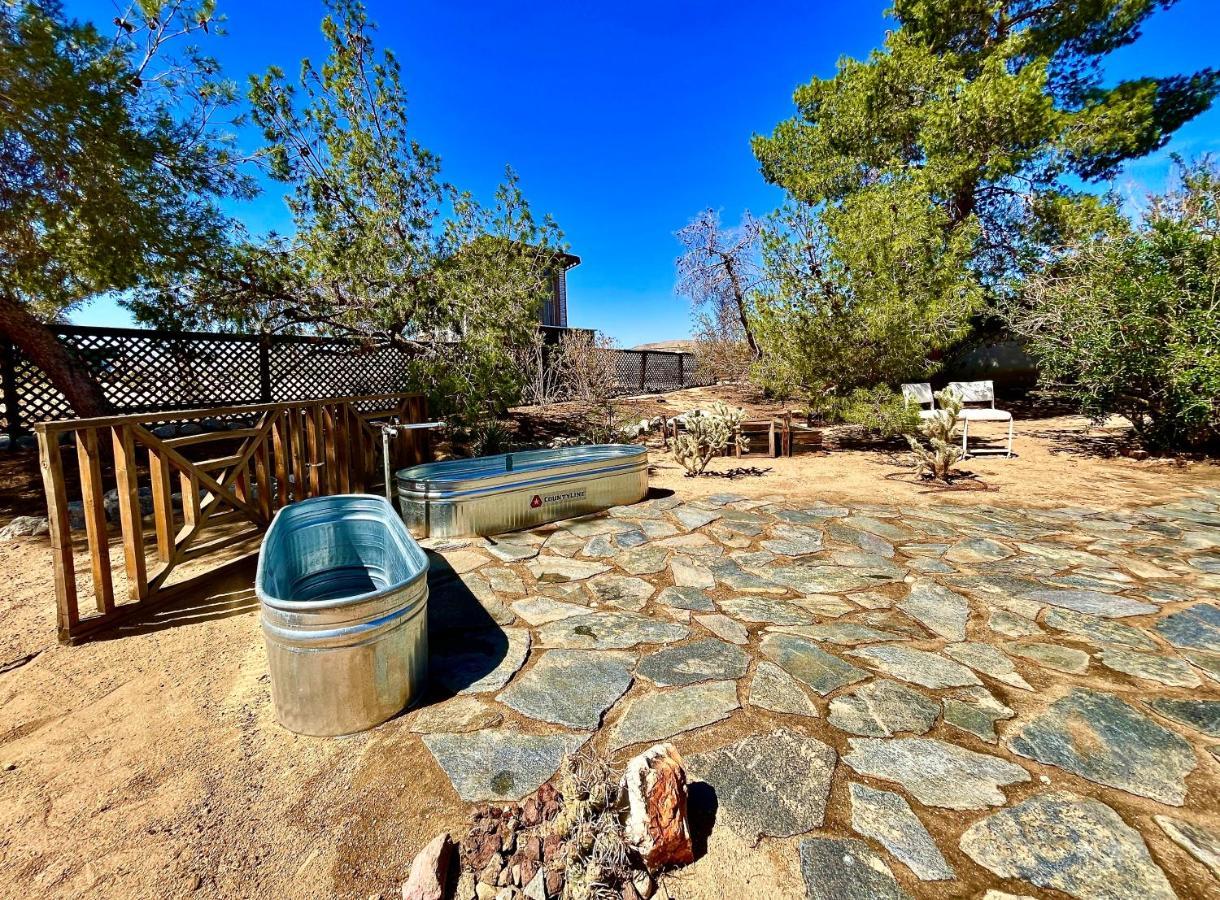 Popular Homestead! Location, Stargaze, Views! Joshua Tree Exterior foto